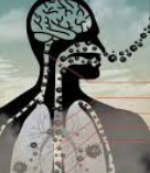 มลพิษทางอากาศ เสี่ยงก่อโรคมะเร็งปอด และการใช้ชีวิตอย่างชาญฉลาด